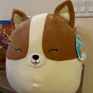 12 inch dog squishmallow - Regina